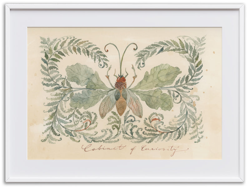 Cabinet of Curiosities - Bug 1 (Art Print)