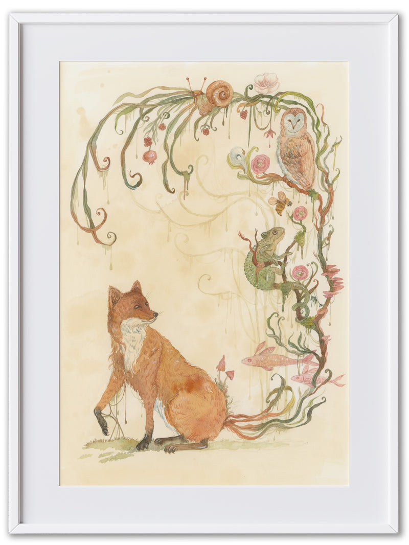Bedtime Stories Fox(Art Print)