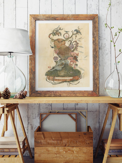 Curiosity Cabinet Owl 2 (Art Print)