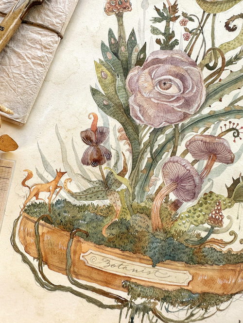 The Elusive Botanist's Curiosity Cabinet (Original Watercolor)