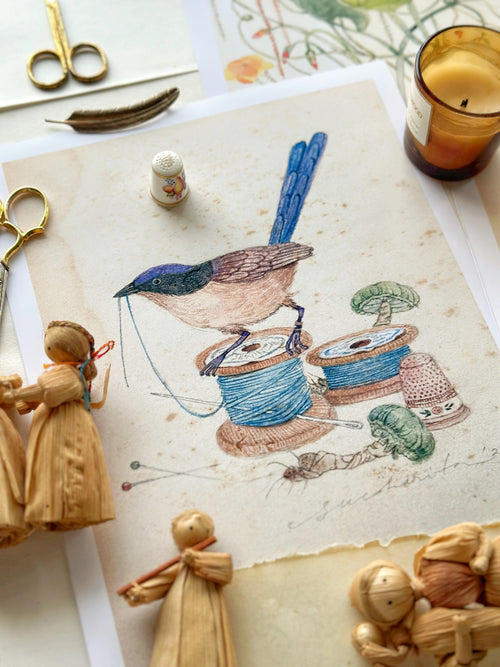 The Stitcher's Curiosity Box (Set of 3 Art prints)