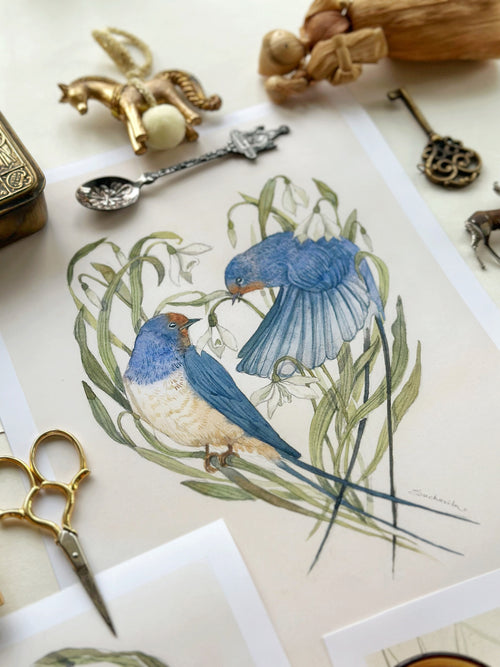 Snowdrops: Language of Flowers (Art Print)