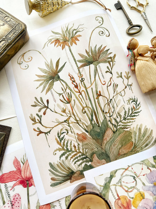 The Botanist’s Treasury (Set of 3 Art prints)