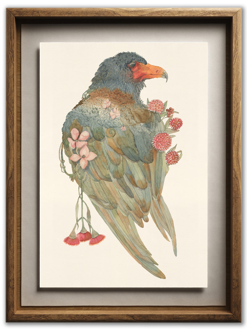 Bateleur Eagle (Art Print)