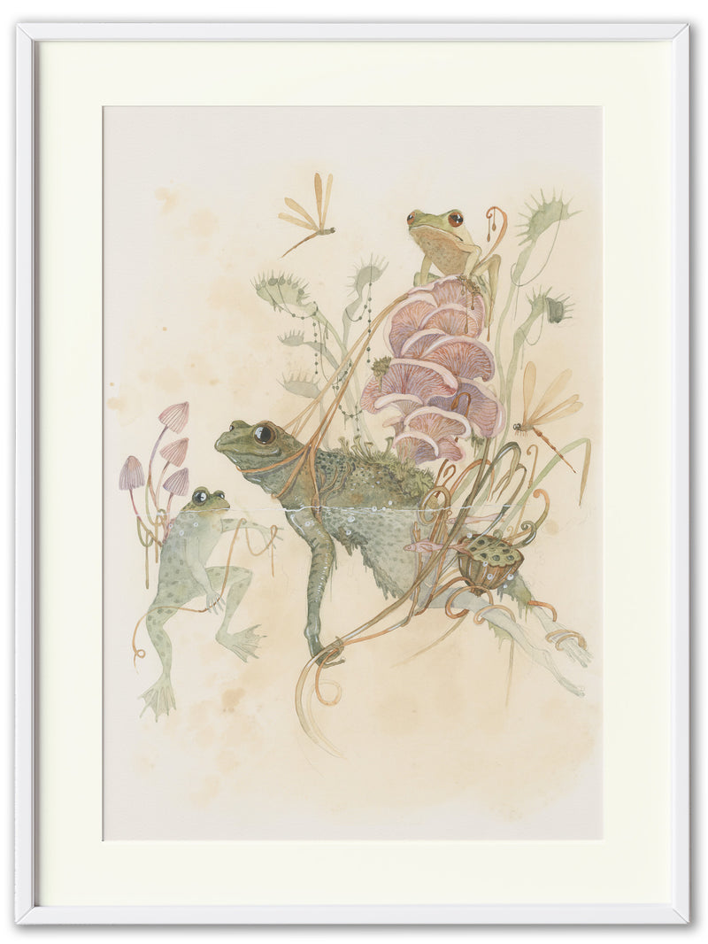 Fiesty Frogs (Art Print)