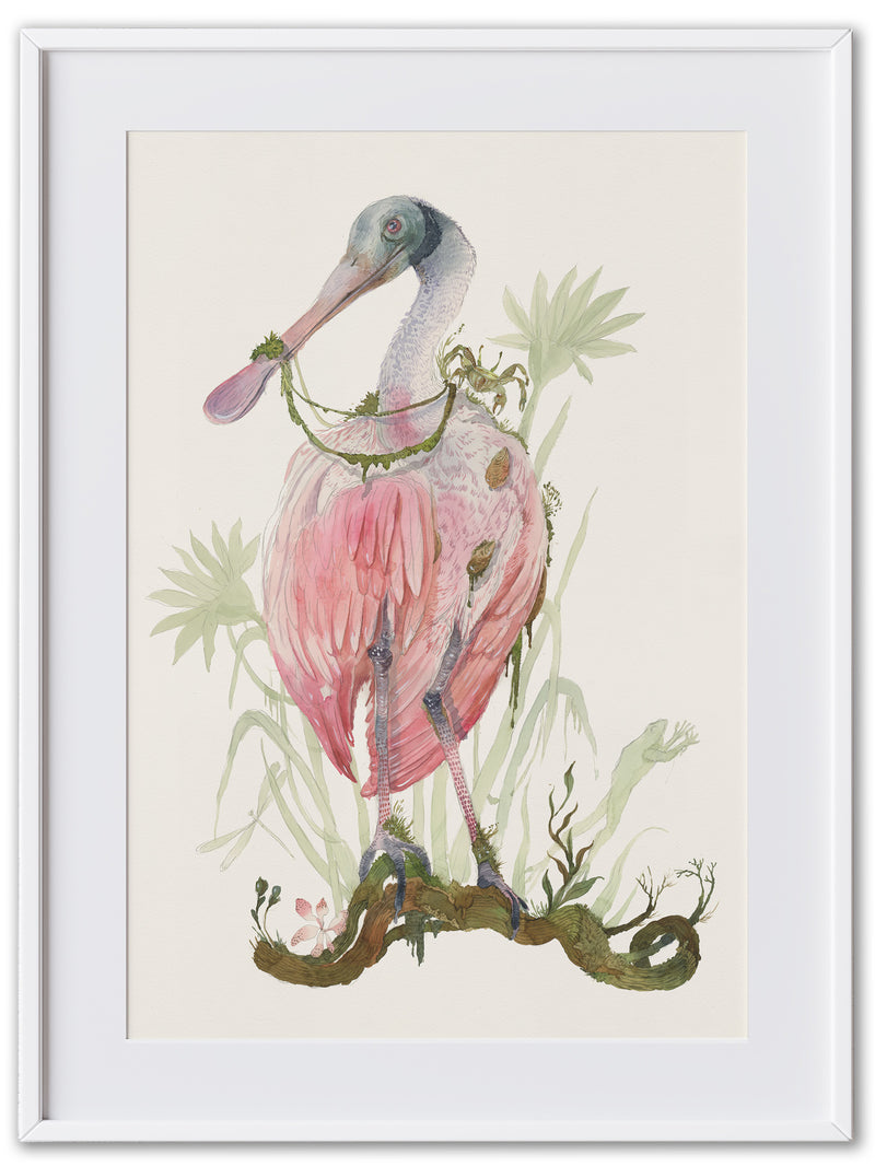 The Roseate Spoonbill (Art Print)