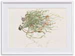 Sea Horse Kelpie (Art Print)