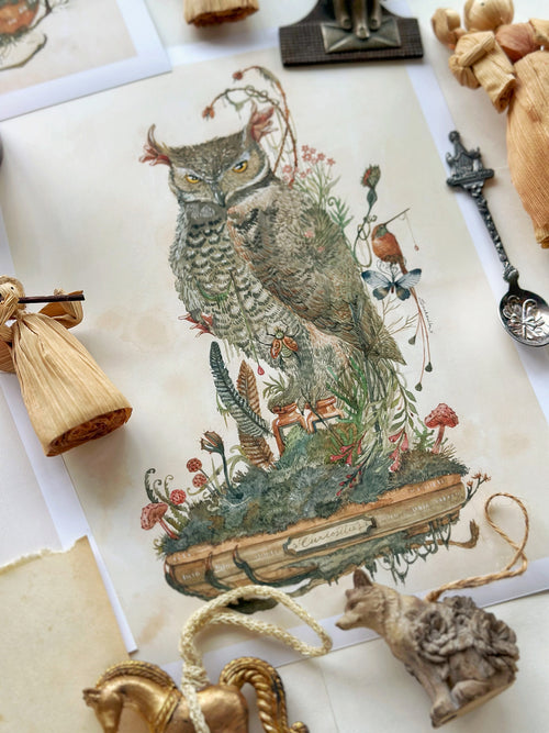 The Owl Keepers Cabinet (Set of 3 Art prints)