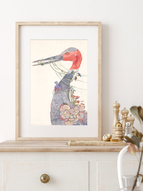 Sarus Crane ( Art Print)