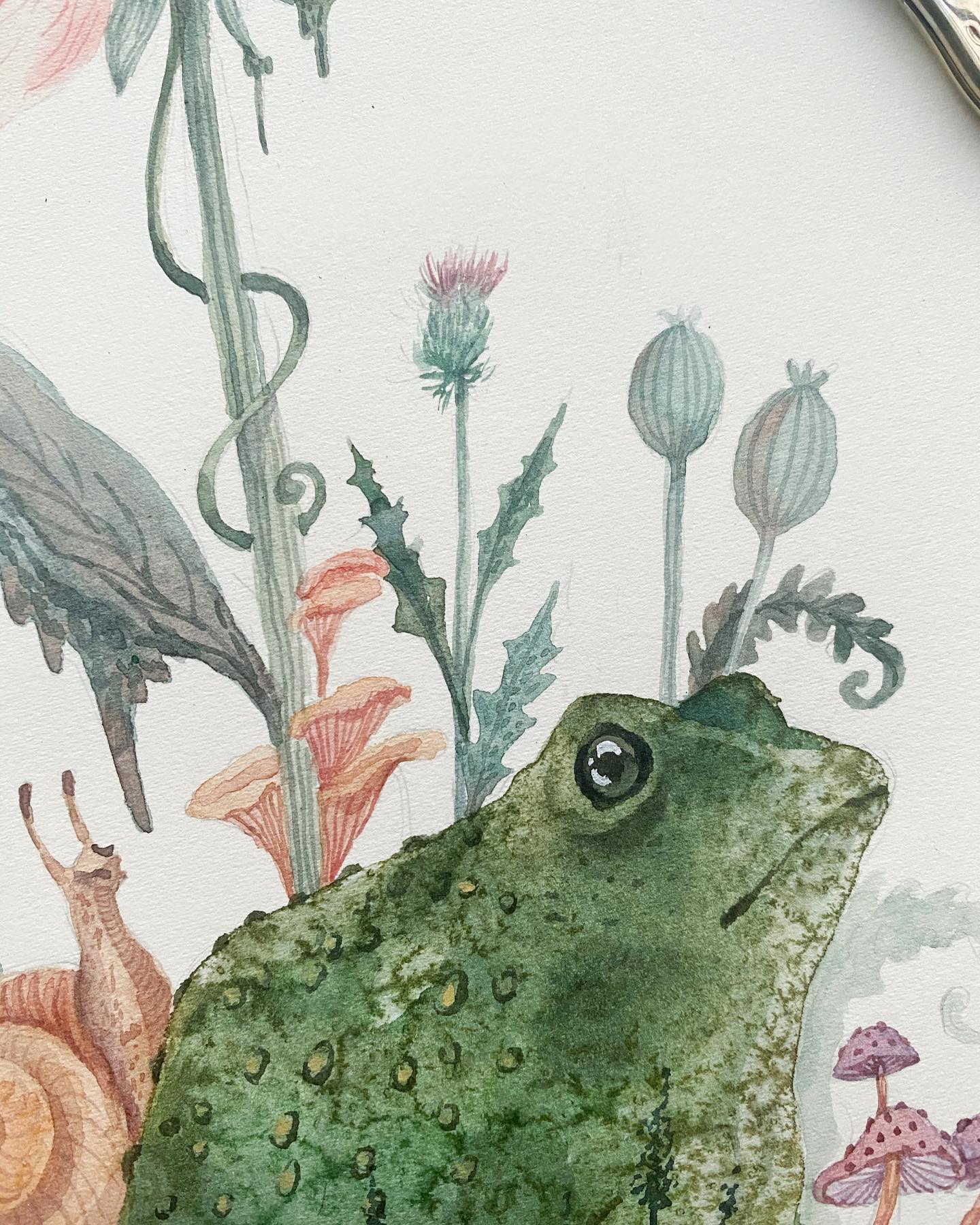 Grumpy Little Toad(Original, watercolour)