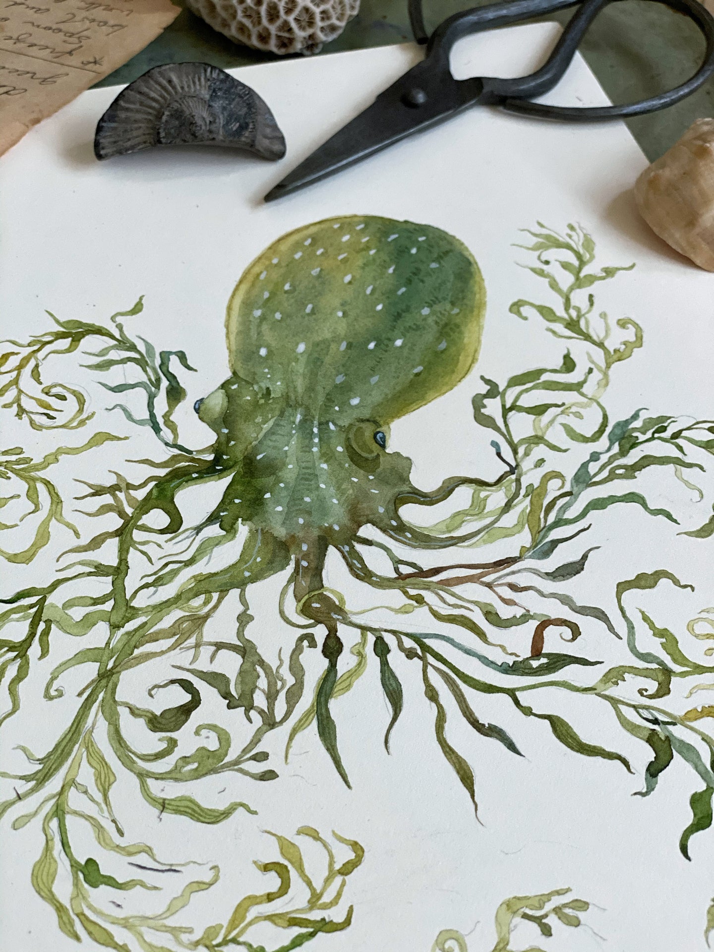 Kelp Octopus(Original, watercolour)