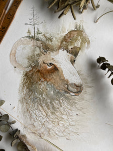Misty Morning Sheep(Original, watercolour)