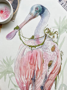 The Roseate Spoonbill (Original, watercolour)