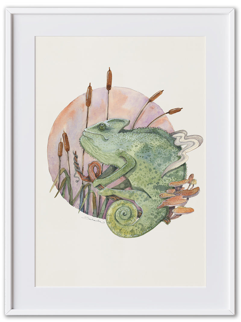 Chameleon (Art Print)