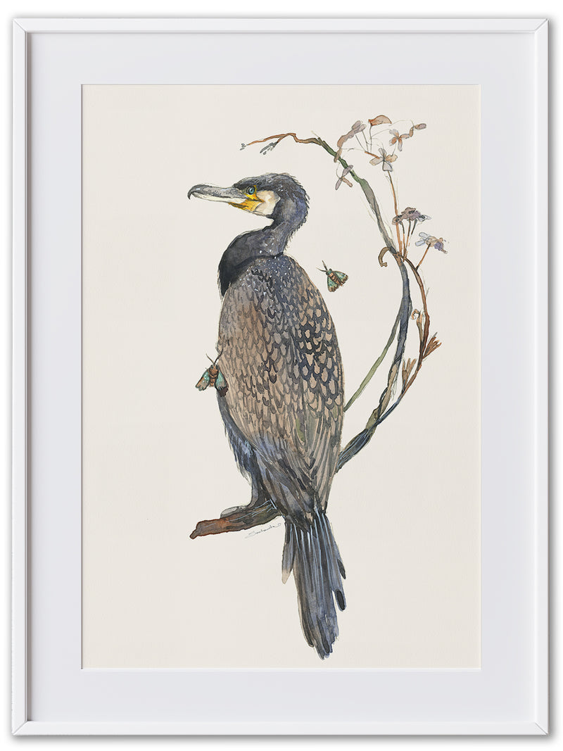 Cormorant (Art Print)