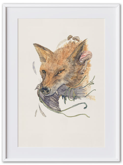 Fox (Art Print)