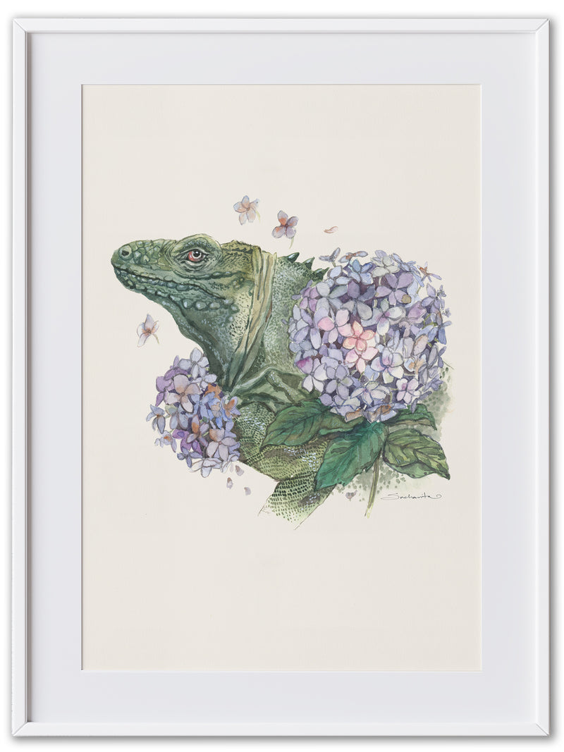Iguana (Art Print)