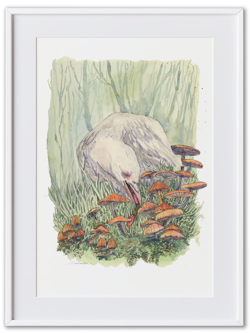 Jewel thief- Albino Crow (Art Print)