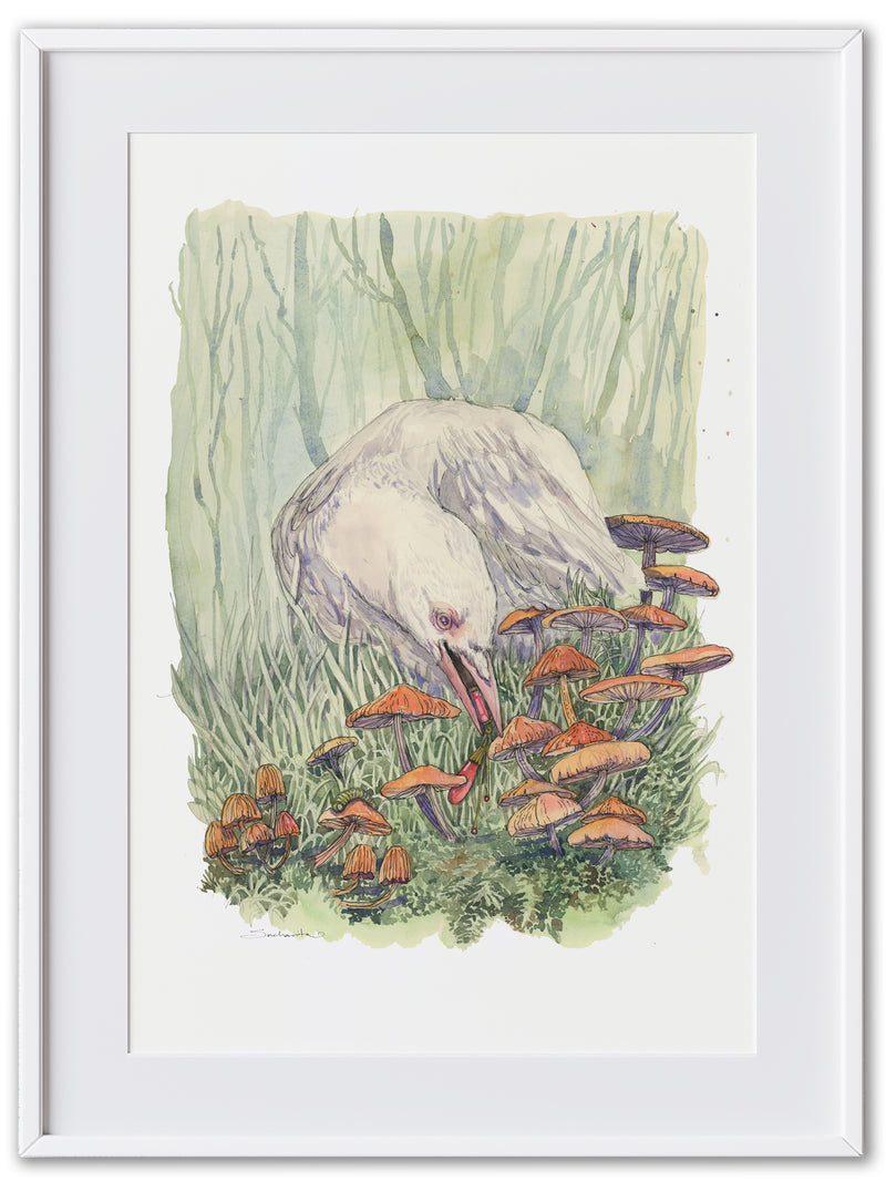 Jewel thief- Albino Crow (Art Print)