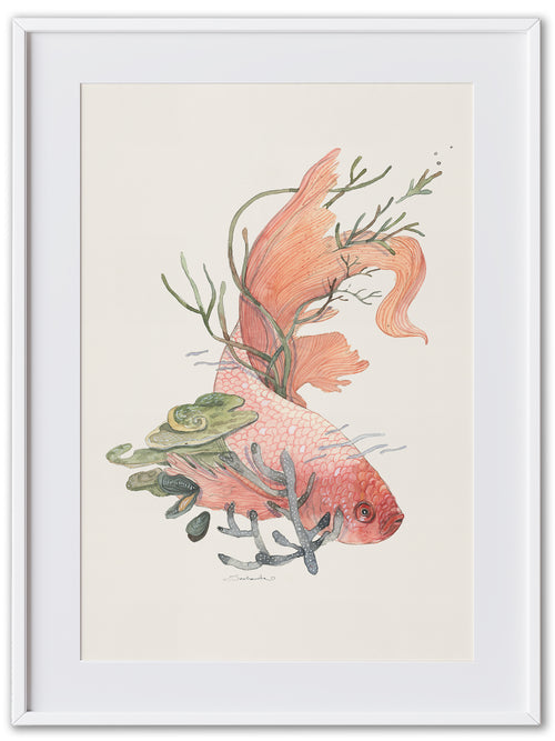 Siamese Fish (Art Print)