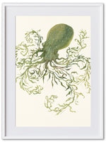 Octopus (Art Print)
