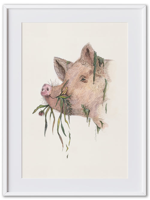 Grumpy Pig (Art Print)