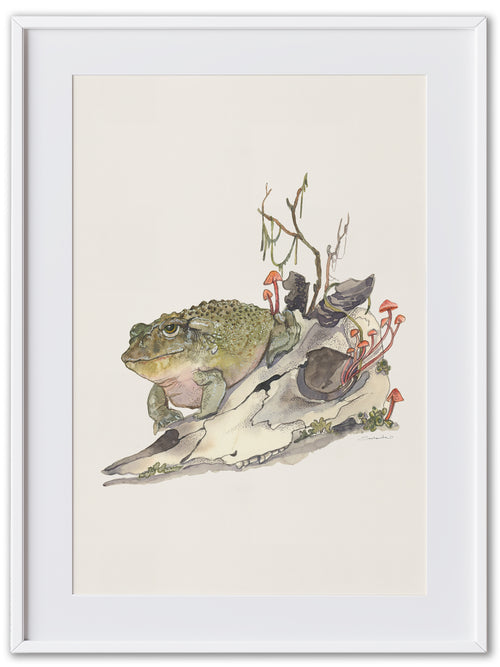 Toad (Art Print)