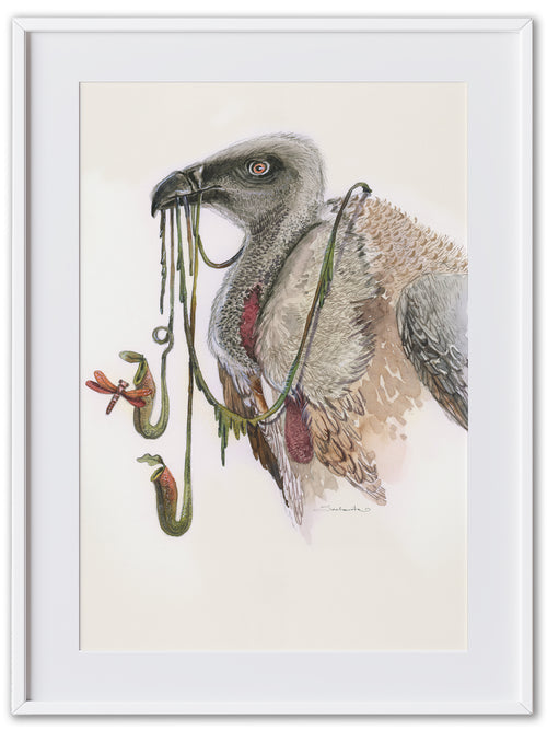 The Vulture (Art Print)