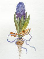 Hyacinth and Butterflies (Original Watercolour)