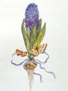 Hyacinth and Butterflies (Original Watercolour)